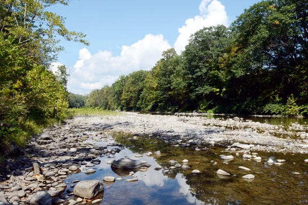 Creek in Greene County