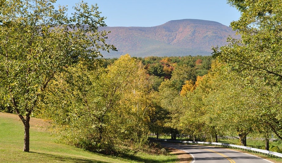 Rural Mountain Location Key to 21st Century Lifestyle Businesses in Lexington, NY