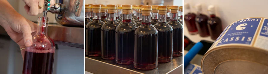 Bottles of Blackcurrant liqueur