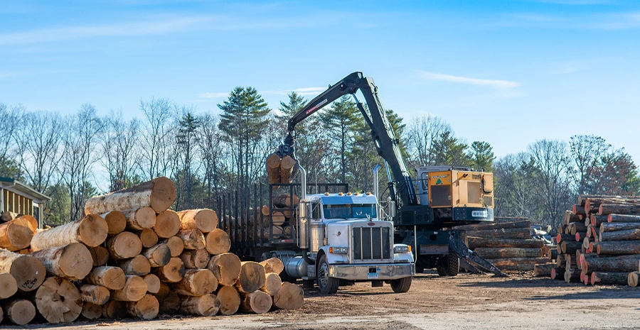 Fostering Forests is a Family Focus at B&B Forest Products in Cairo, NY