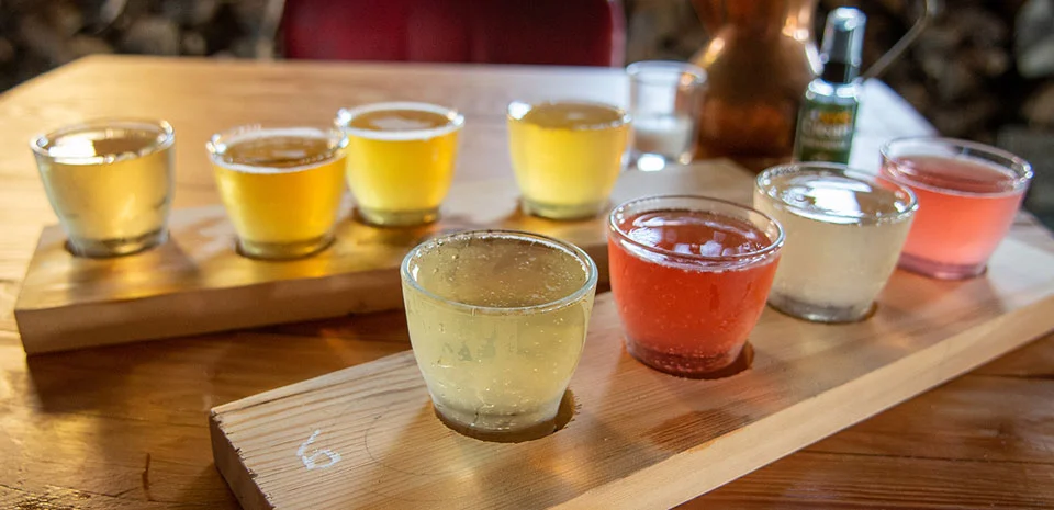 Opening a Craft Cidery Community Destination in Catskill, NY