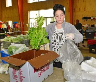 packing boxes of vegetables