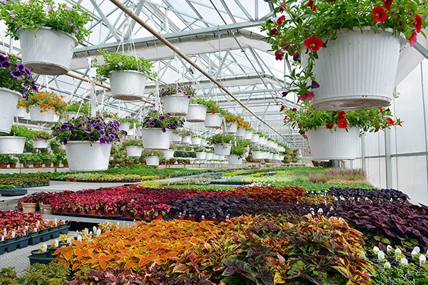 Sustaining a Gardeners’ Destination for Over 60 years in Freehold, NY