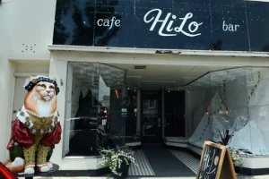 HiLo Catskill