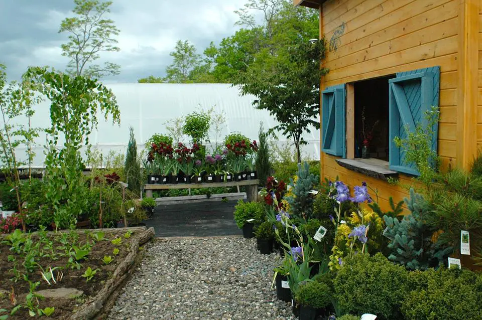 The Greene Bee Greenhouse: A Gardener’s Destination