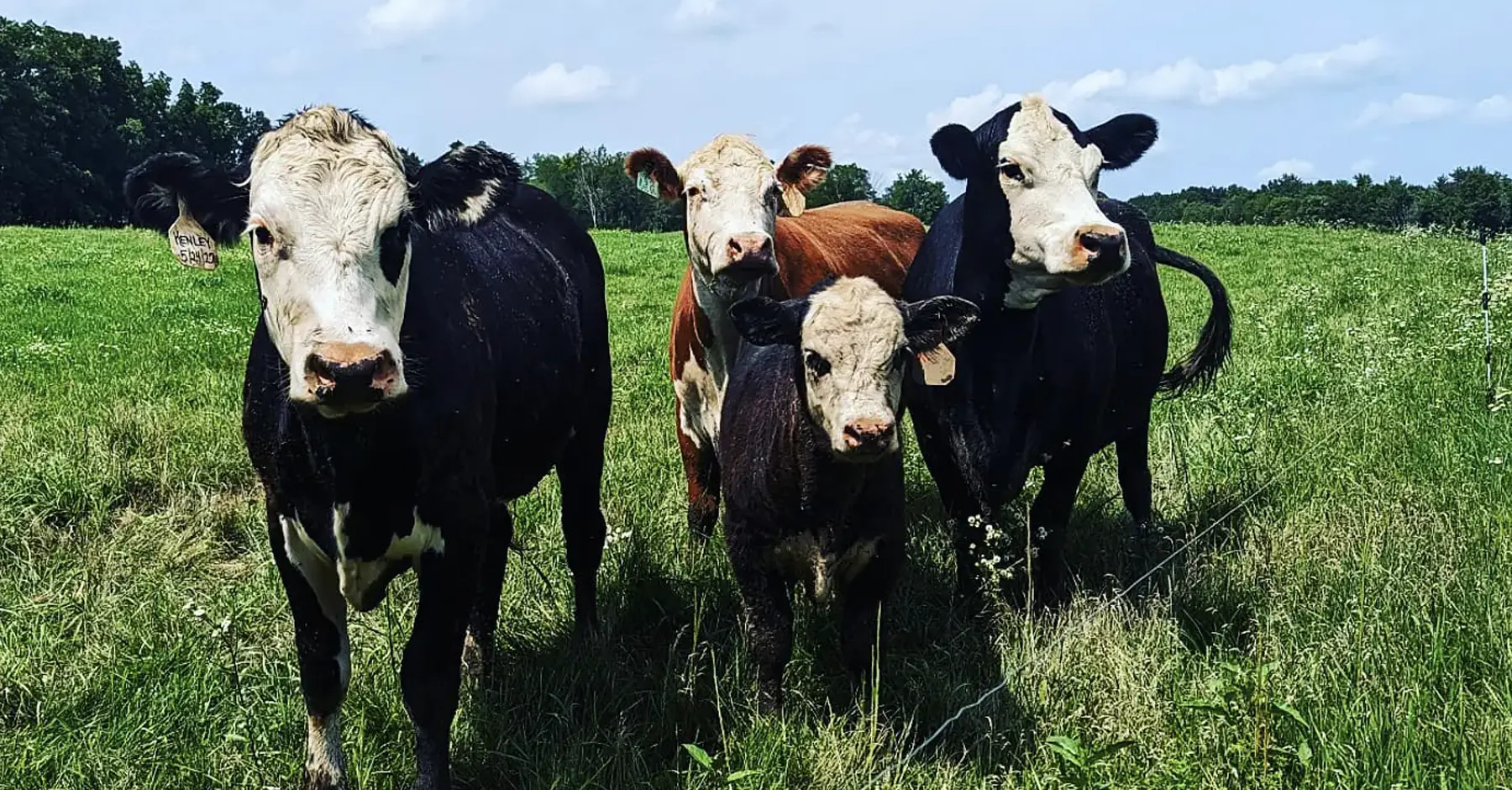 Family Farm Brings Local Agriculture Front & Center